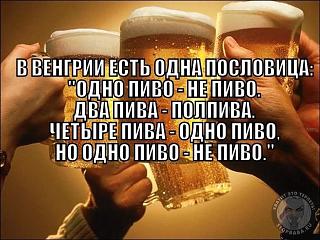Пиво-1407495030_podborka_90.jpg