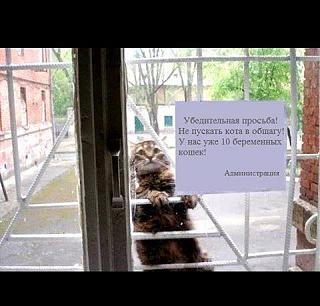 Повышатель настроения-13087620_982173741850739_4010470474347150321_n.jpg