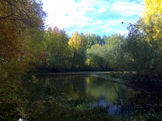 Красивые фотографии сделанные членами клуба-10092011671.jpg