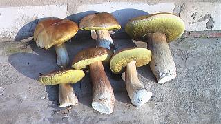 Красивые фотографии сделанные членами клуба-imga0337.jpg