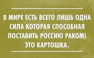 Афоризмы дня-image.jpg