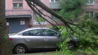 Что хорошего произошло за день?-img-20160521-wa0000.jpg