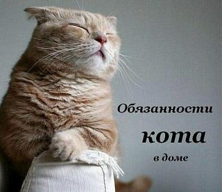 Повышатель настроения-13260075_1027048907378187_2278074135346952339_n.jpg