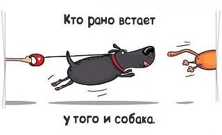 Повышатель настроения-tapatalk_1467357253387.jpeg