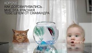 Повышатель настроения-view.jpg