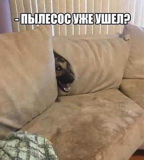 Повышатель настроения-uploadfromtaptalk1467654447193.jpg