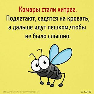 Повышатель настроения-image-93b28d90740d094341ba6219f594d7d6