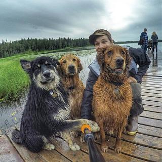 Братья наши меньшие-13590402_1179318132125491_3607482056126220728_n.jpg