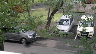 Встретил на дороге...-08072016.jpg