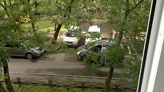 Встретил на дороге...-08072016.jpg