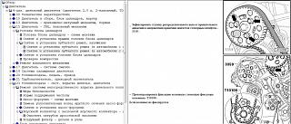 2.0 D     BKC когда глушу не сразу глохнет. Помогите-snimok1.jpg
