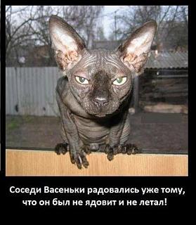 Повышатель настроения-13240546_1072107426161643_7360831779929648114_n.jpg