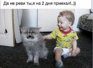 Повышатель настроения-image-10-.jpg