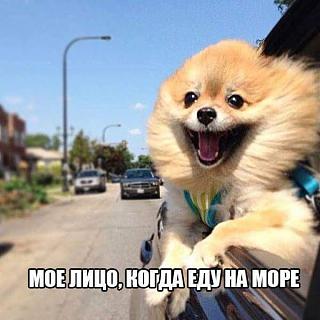 Повышатель настроения-uploadfromtaptalk1470425715888.jpg