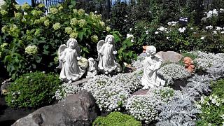 Красивые фотографии сделанные членами клуба-img_20160805_122824.jpg