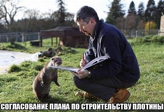 Повышатель настроения-angwnmux6ke.jpg