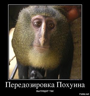 Повышатель настроения-c786c64bea8c05280f1eb1c6318d5032.jpg