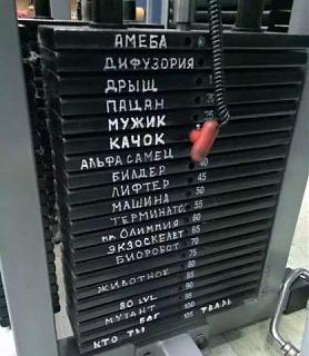 Повышатель настроения-2016-09-01_16-20-57.jpg