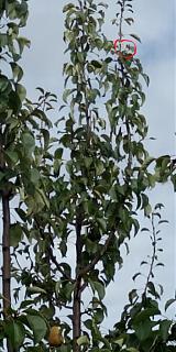 Ну и погодка!-img_20160904_101505.jpg