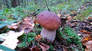 Что хорошего произошло за день?-dsc_1641.jpg