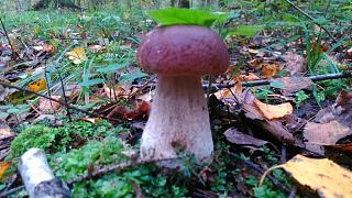 Что хорошего произошло за день?-dsc_1643.jpg