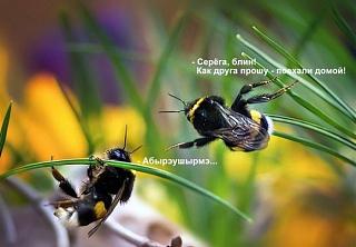 Повышатель настроения-view.jpg