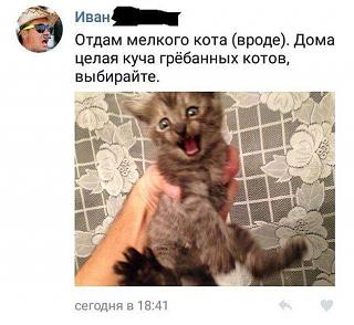 Повышатель настроения-fb_img_1474991739212.jpg