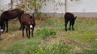Что хорошего произошло за день?-20160928_102054.jpg