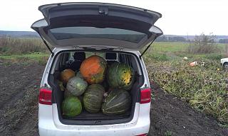 TOURAN как грузовик.-imag0700-1-.jpg