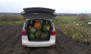 TOURAN как грузовик.-imag0701-1-.jpg