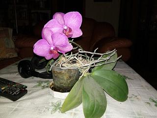 Ну и погодка!-img_20161108_200338.jpg