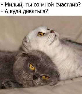 Повышатель настроения-img_830513740114223.jpeg