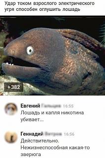 Повышатель настроения-ifyklo_apxy.jpg