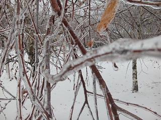 ДАЧА-img_20161109_090058.jpg