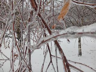 ДАЧА-img_20161109_090056.jpg