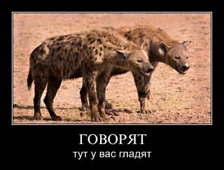 Плохо заводится утром и после большого перерыва дизель BKD-ne-v-obidu.jpg