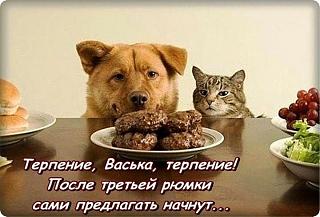 Повышатель настроения-15304345_1500337099976598_6526670976310924395_o.jpg