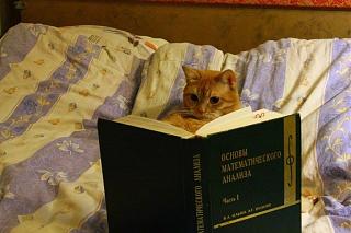 Братья наши меньшие-15585249_1744894262497980_697091685761861225_o.jpg