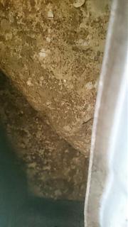Помогите посильно в приобретении, морально и технически :)-img-20161222-wa0001.jpg