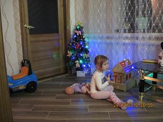 Новогодняя елка-img_0435.jpg