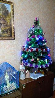 Новогодняя елка-img_20161229_181717.jpg