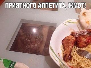 Повышатель настроения-img_0444.jpg