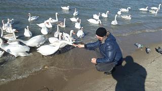 Что хорошего произошло за день?-20170212_123444.jpg