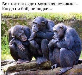 Водка-imageyy258319.jpg