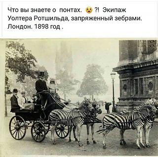 Повышатель настроения-16708608_1518767841491048_8943673803529979800_n.jpg
