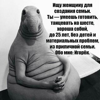 Повышатель настроения-image-0-02-04