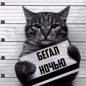 Название: imageN71QMJUJ.jpg
Просмотров: 418

Размер: 21.4 Кб