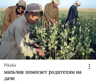 Повышатель настроения-17880455_1761521854161809_3252326267409417670_o.jpg