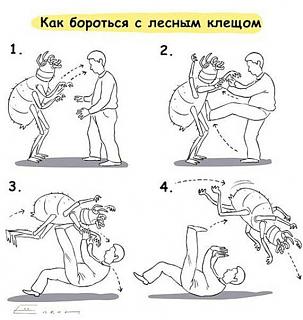 Повышатель настроения-img_0725.jpg