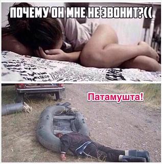 Повышатель настроения-patamushta.jpg